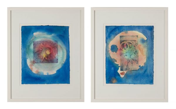 Ulrike Franz - Wirbel und Wurzel